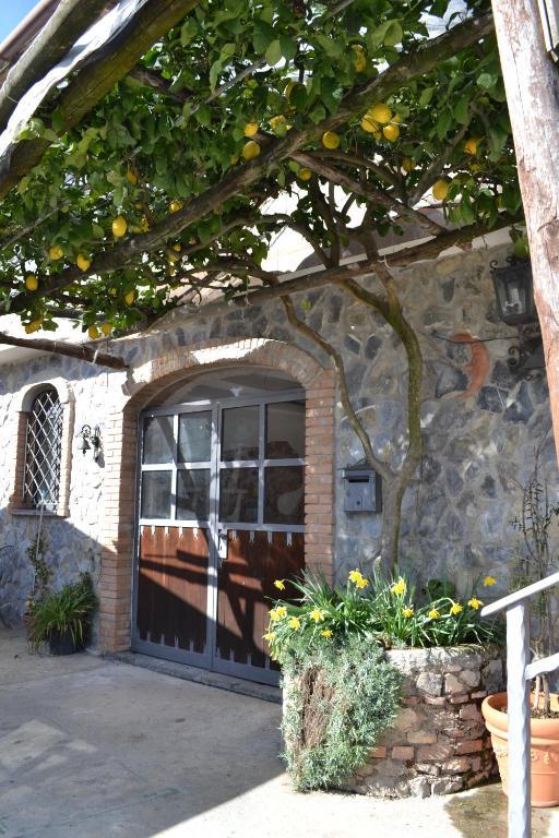 Luna D'Agerola Habitación foto